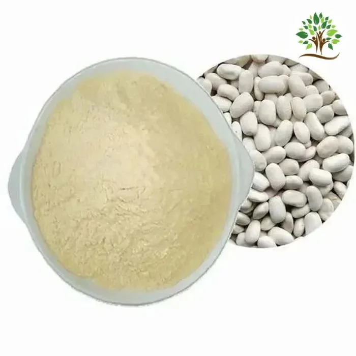 White Kidney Bean Extract