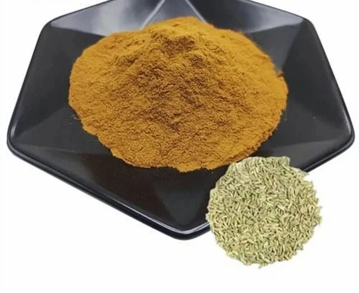 Foeniculum Vulgare Mill. Extract