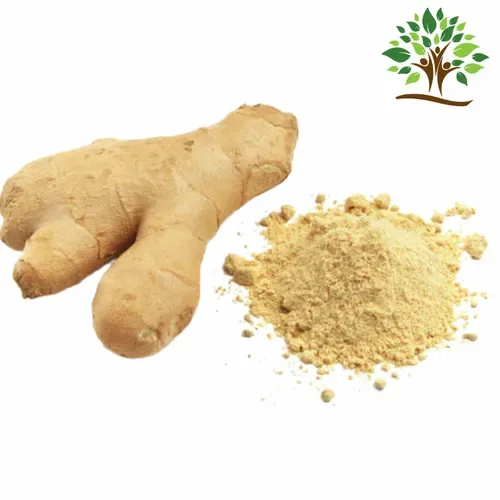 Ginger Herbal Extract Powder