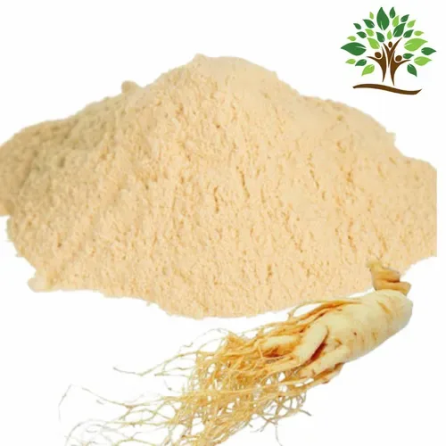 Ginseng Extract Powder