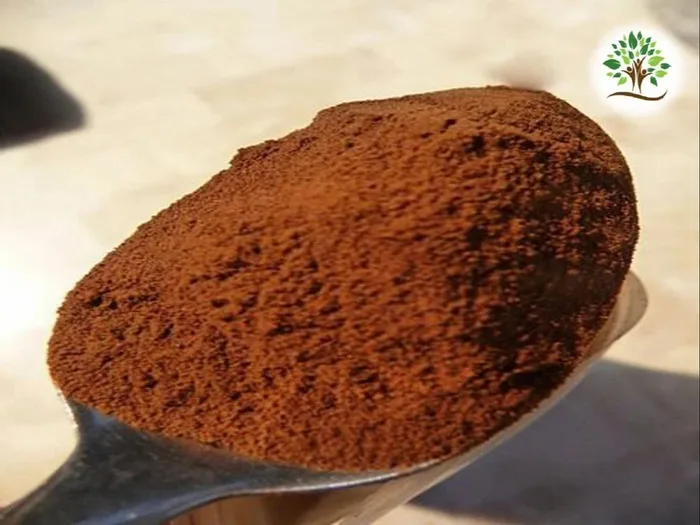 Rosehip Extract Powder
