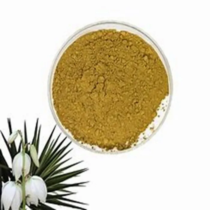Yucca Extract Powder