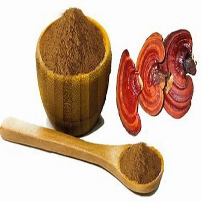 Reishi Mushroom Extract