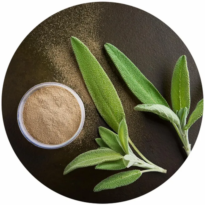Sage Leaf Extract