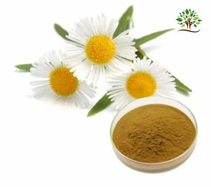 Chamomile Flower Extract