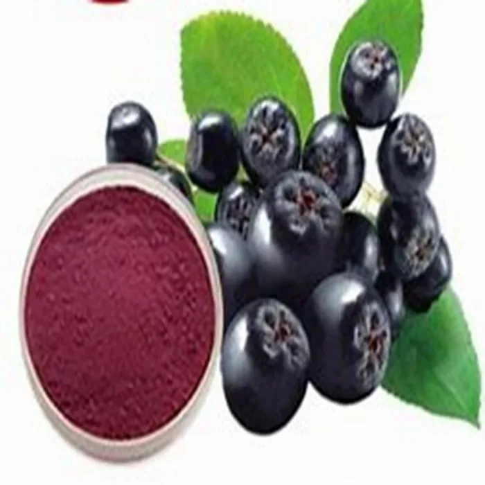 Black Currant Fruit Powder