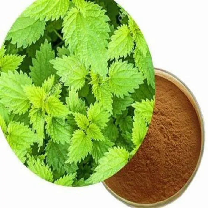Nettle Leaf Extract