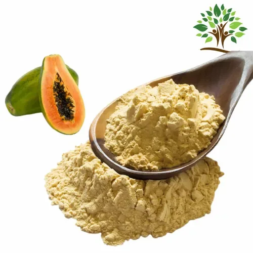 Spray Dried Papaya Powder