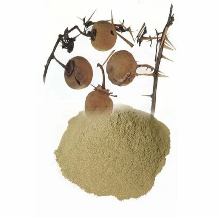 Kantakari Extract Powder (Solanum Extract Powder)