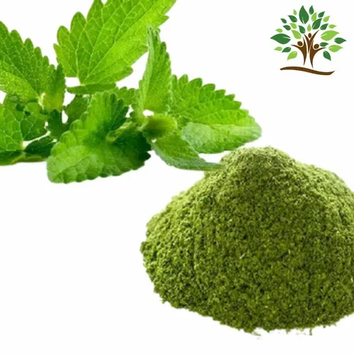 Mint Leaves Powder