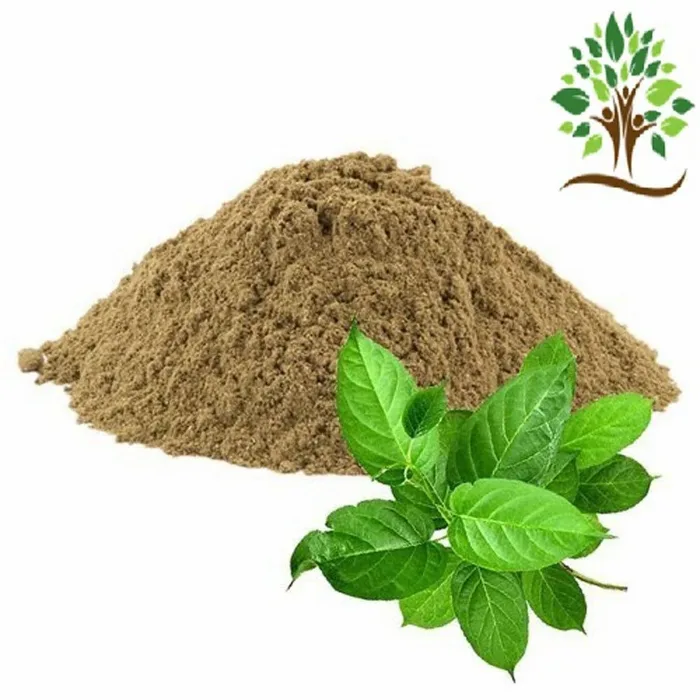 Gymnema Sylvestre Herbal Extract Powder