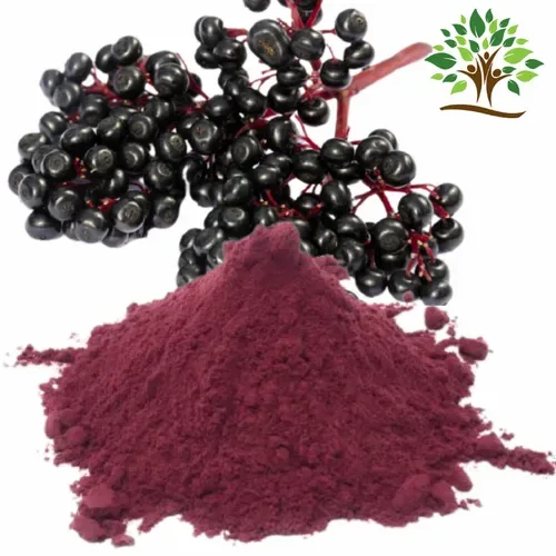 Extract Elderberry powder