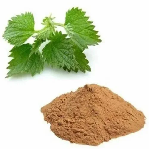 Stinning Nettle extract