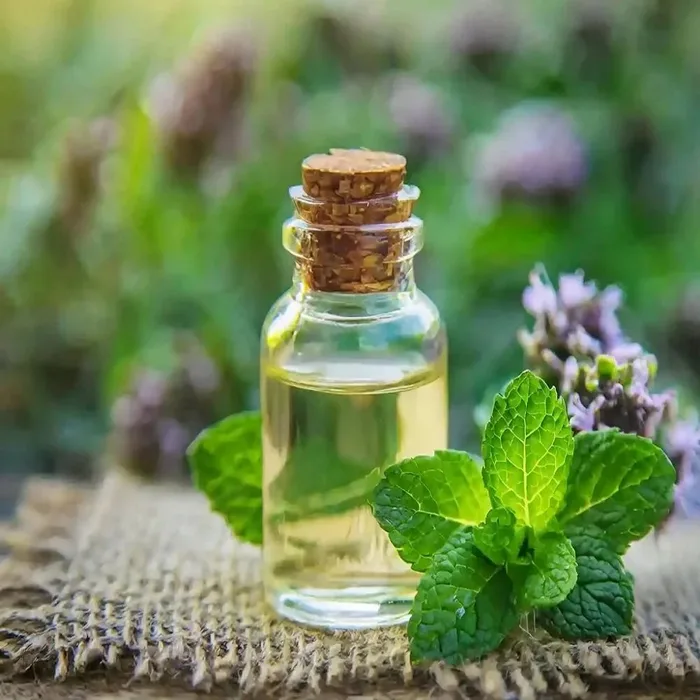 Peppermint Essential Oil