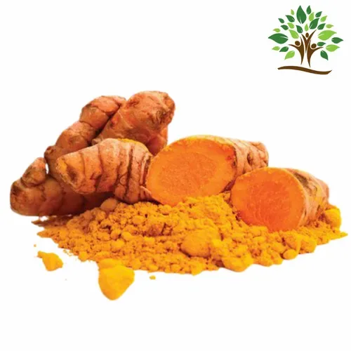 Nano Curcumin Powder 5%