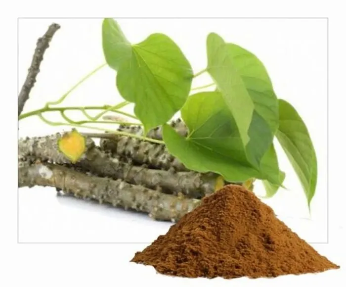 Tinospora Cardifolia Extract