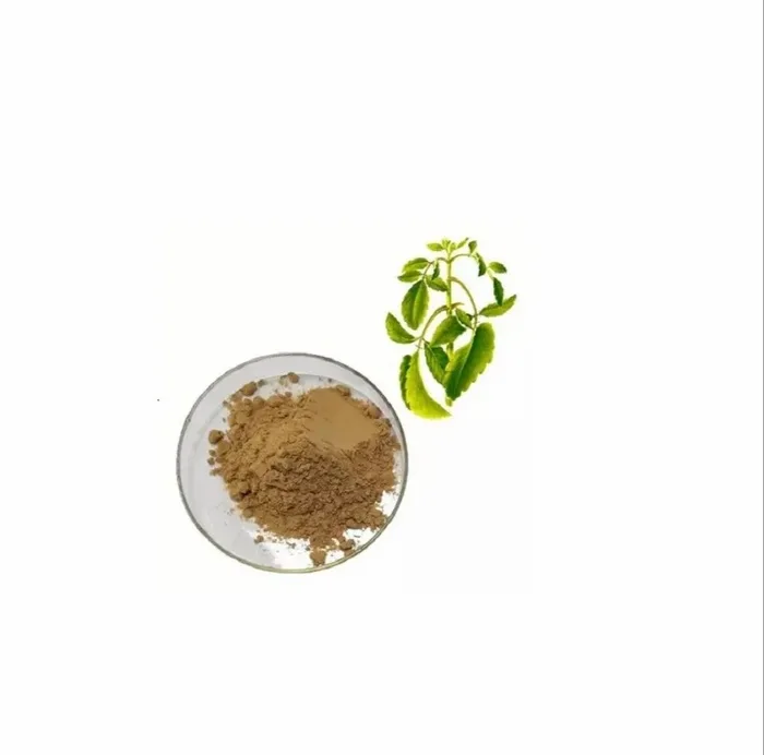 Bryophyllum Pinnatum Extract
