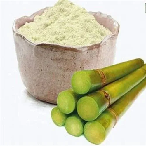 Sugarcane Juice Powder