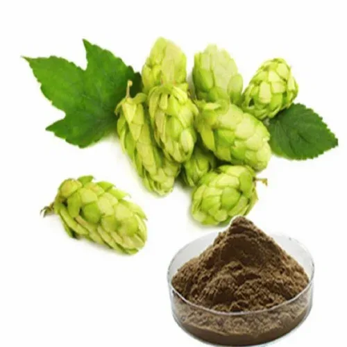 Hops Flower Extract