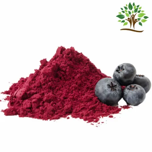 Bilberry Extract Powder