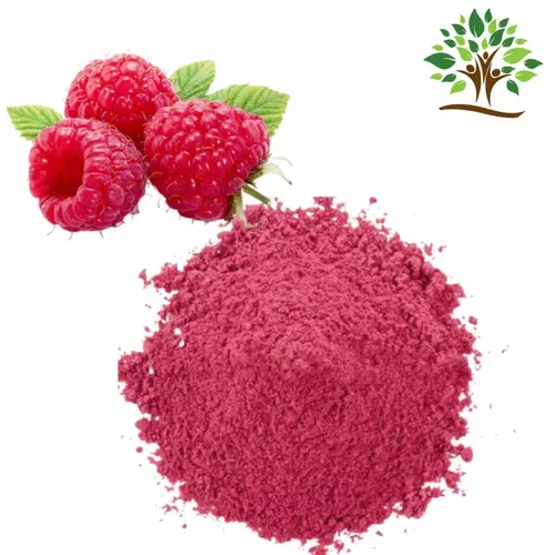Raspberry Fruit Extract Powder