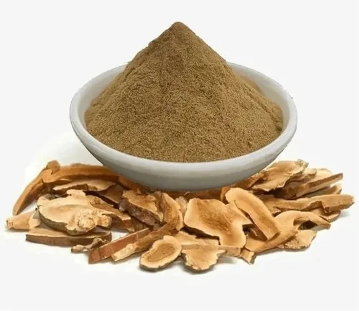 Astragalus Extract Powder (Astragalus Gummifer)