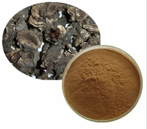 Black Cohosh Extract Powder