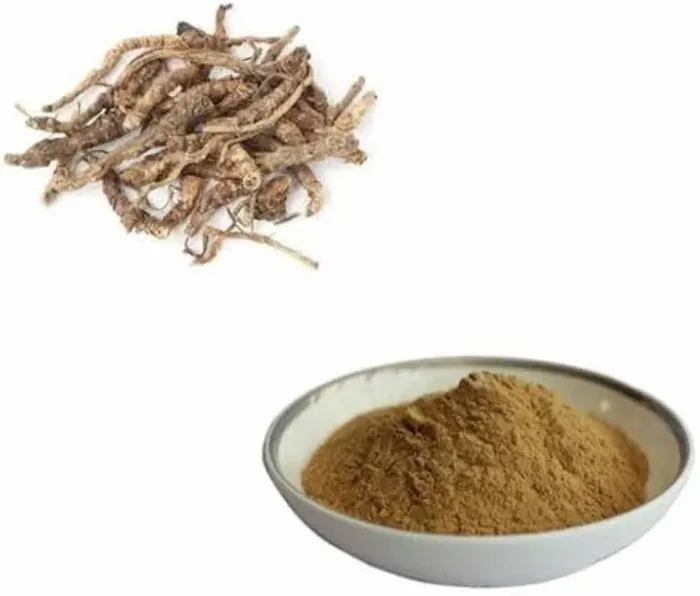 Picrorrhiza Kurroa Extract Kutki