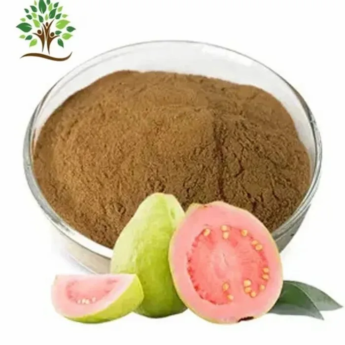 Guava Extract (Psidium guajava L.)