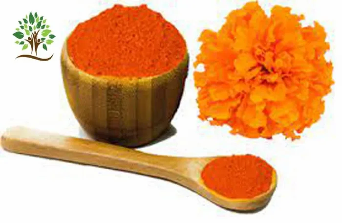 Marigold Extract Powder