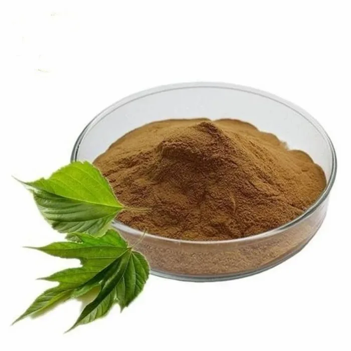 Mullein Leaf Extract