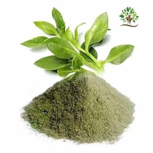 Kalmegh Extract Powder