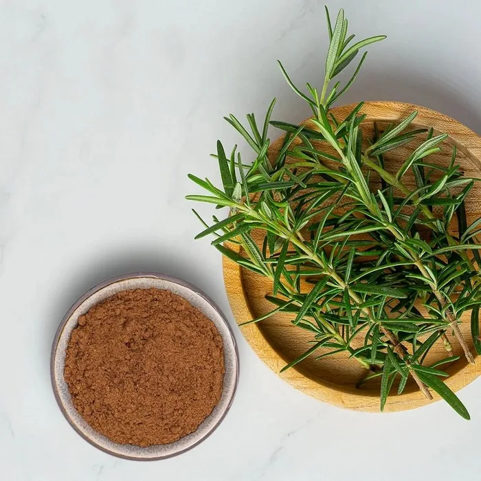 Rosemary Extract Powder