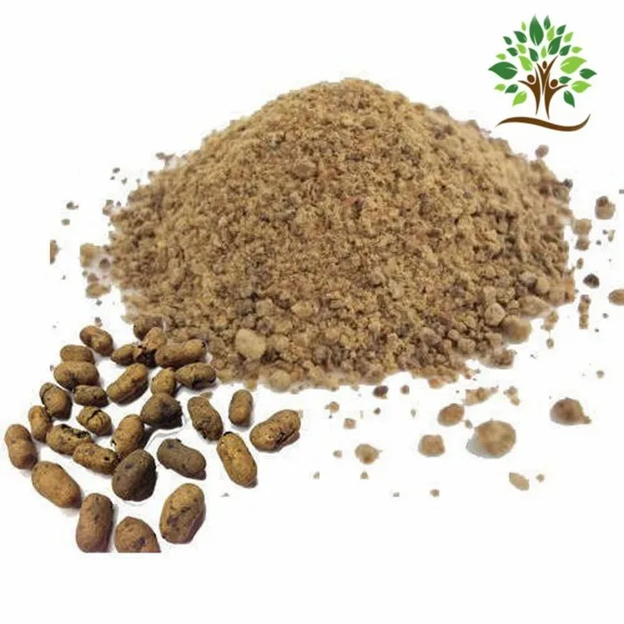 Jamun Fruit Extract Powder