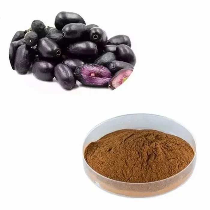 Jamun Seed Extract