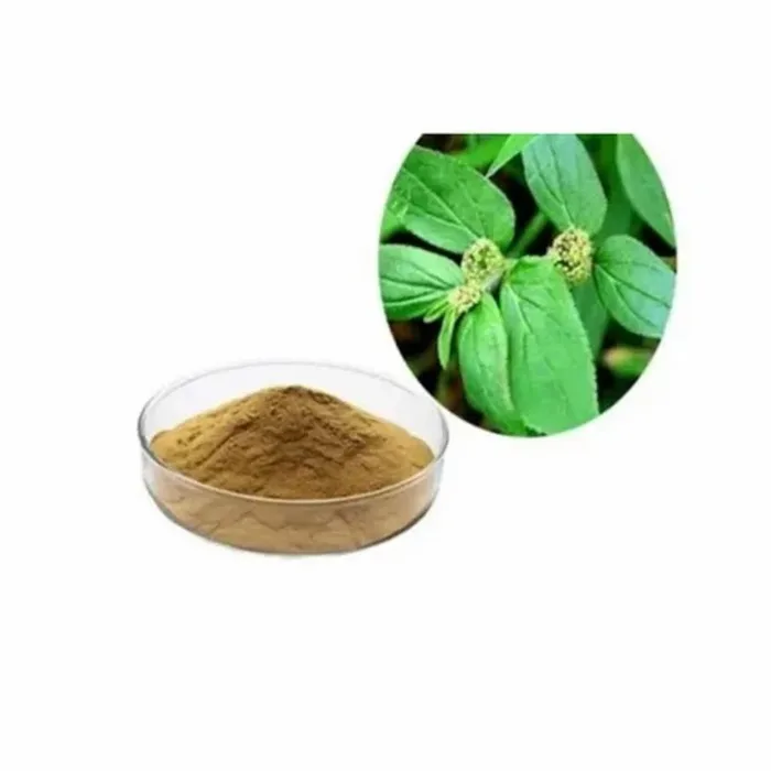 Vitex Negundo Plant Extract