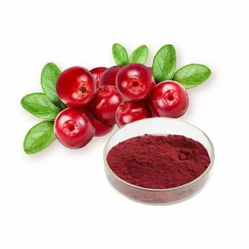 Cranberry Extract 20%