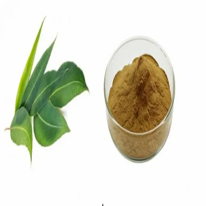 Eucalyptus Extract Powder
