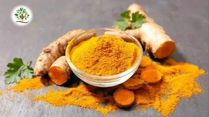 Haldi Extract Powder