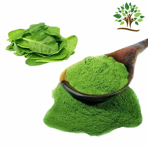 Spinach Powder Spray Dried