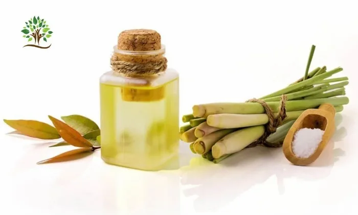 Citronella Essential Oil