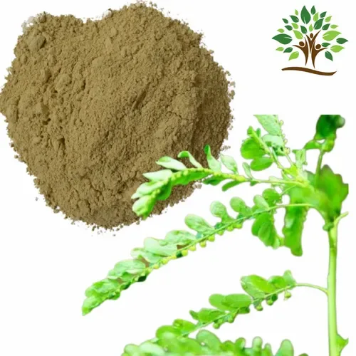 Amla Herbal Extract