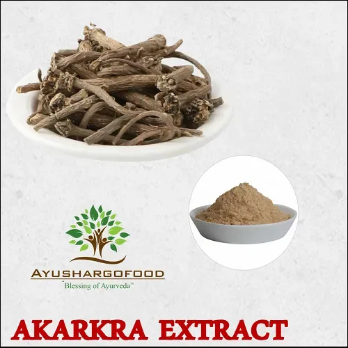 Akarkara Extract Anacyclus Pyrethrum
