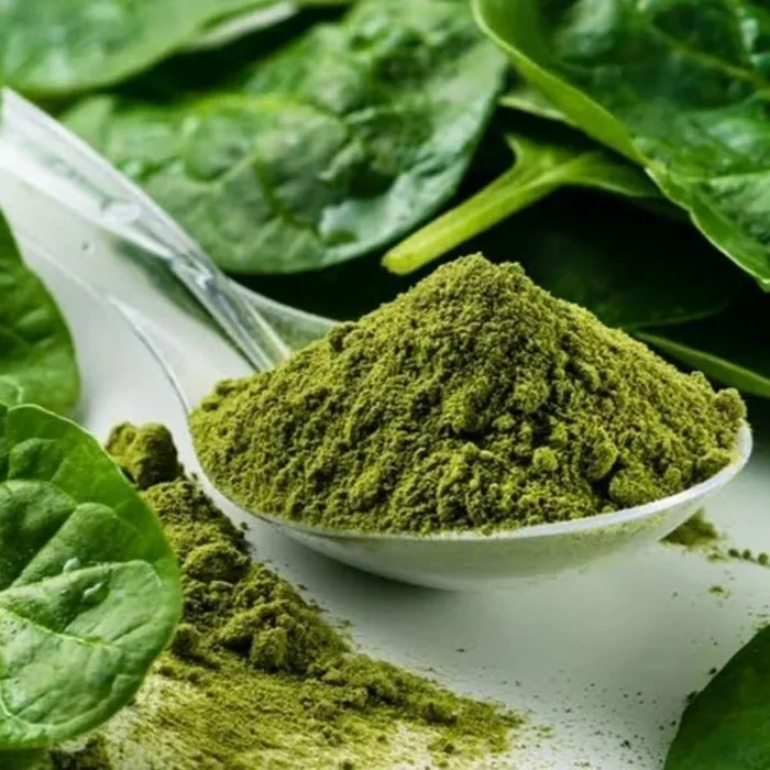 Spray Dried Spinach Extract
